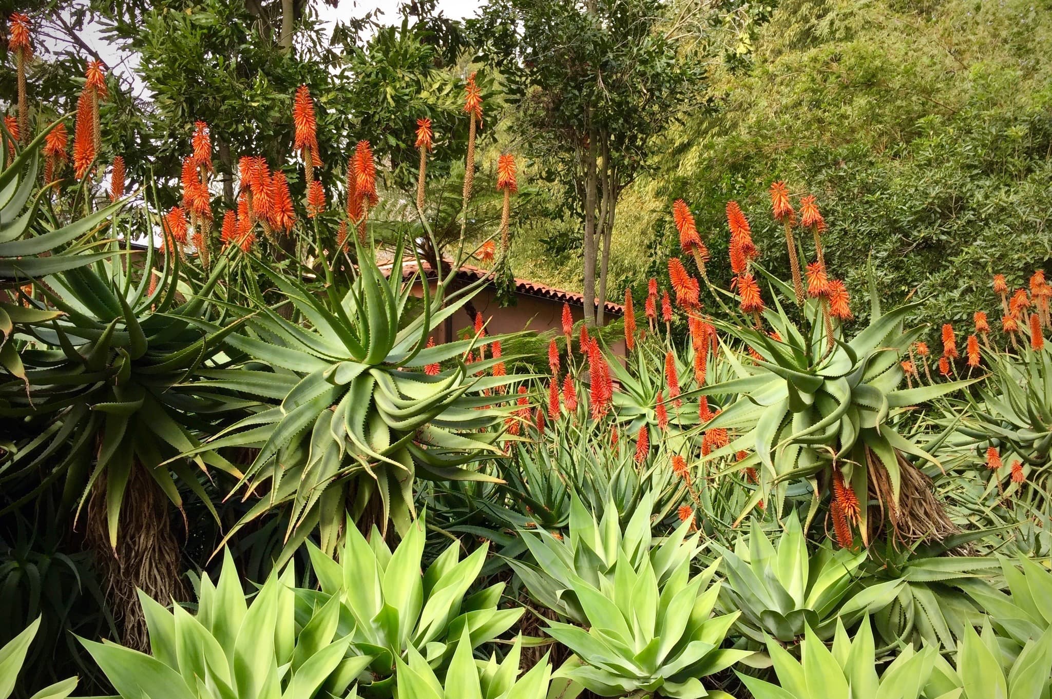 Main entrance at Lotusland, Montecito's historic botanical garden